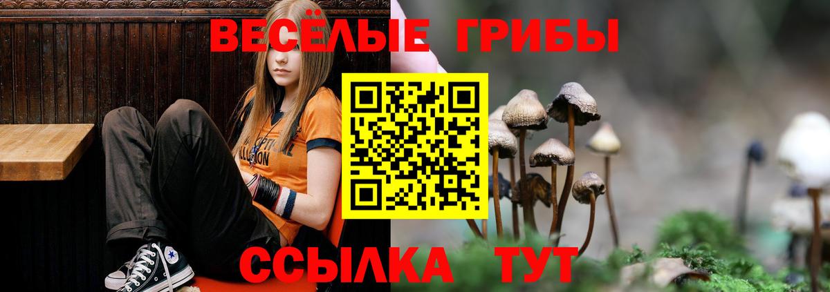 Псилоцибиновые грибы мухоморы  Вход с VPN  Ревда 